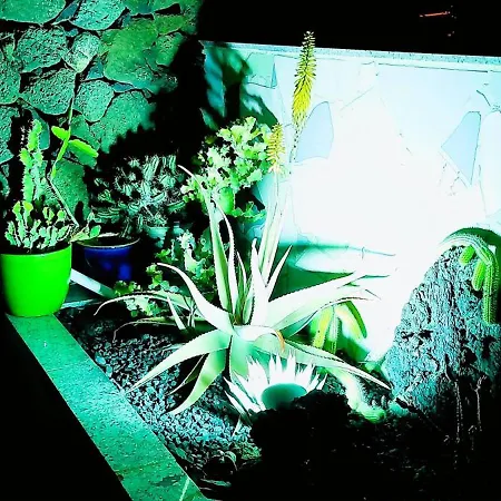 Madora - Private Pool, Amazing Garden, Sea View, Quiet Location فيلة *