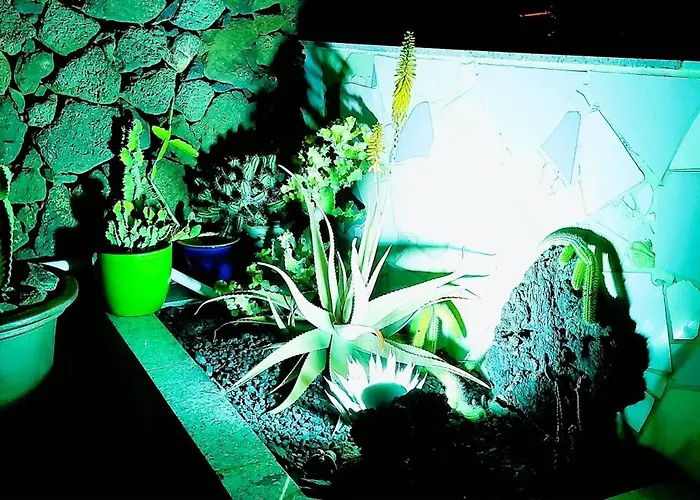 Madora - Private Pool, Amazing Garden, Sea View, Quiet Location Villa *