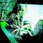 Madora - Private Pool, Amazing Garden, Sea View, Quiet Location Willa *